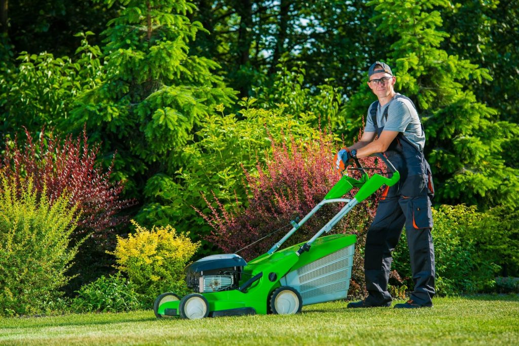 yard maintenance services